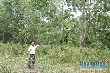 "Vàng trắng" thất sủng