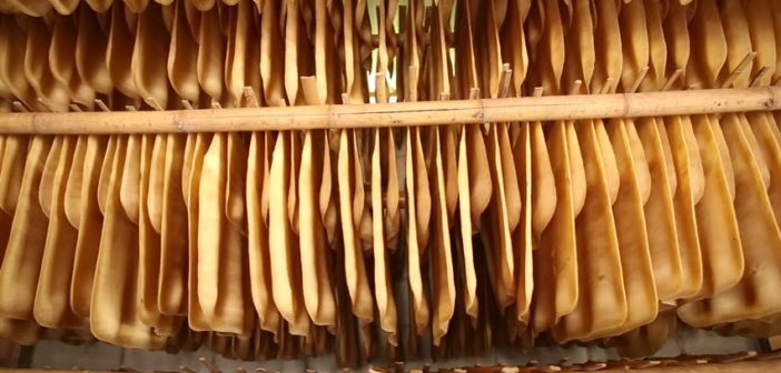 Giá cao su đang có khuynh hướng tăng