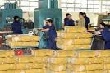 Giá cao su tăng giảm trái chiều
