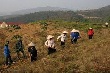 Hứa hẹn “mùa vàng” trên vùng cao su Than Uyên