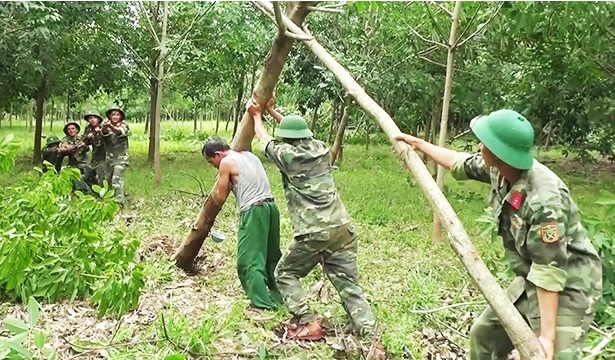 Cao-su tổn thất lớn sau bão