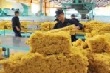 “Ngành cao su vẫn còn nhiều khó khăn về sản xuất và tiêu thụ”