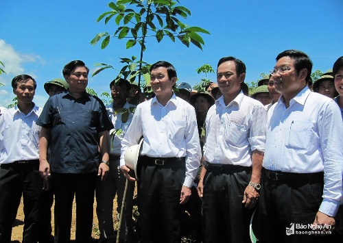 Công ty cổ phần Đầu tư phát triển Cao su Nghệ An: Vững bước phát triển