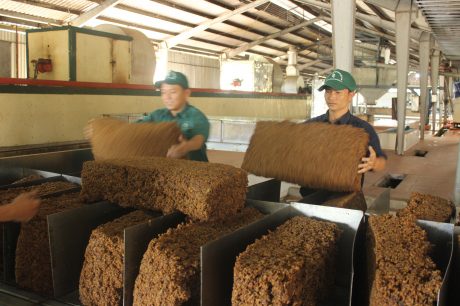 Cao su Quảng Trị chế biến hơn 200 tấn sản phẩm thương hiệu VRG