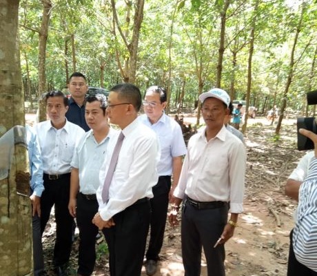 Đại sứ Việt Nam tại Campuchia thăm và làm việc với các công ty cao su tỉnh Kratie