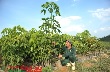 VRG tích cực hỗ trợ các đơn vị thực hiện tốt điều chỉnh suất đầu tư