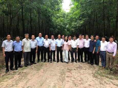 Giải quyết nhiều công việc quan trọng, cấp thiết