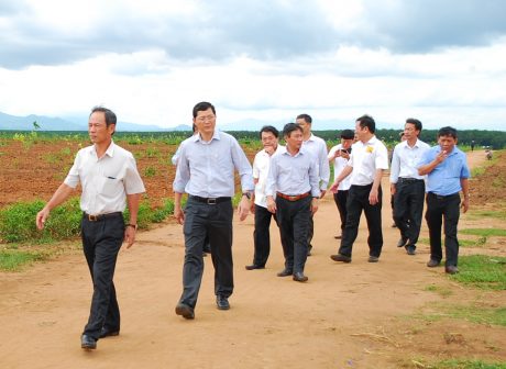 Xuất hiện những điểm sáng mới về sản lượng