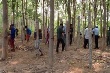Công ty CPCS Đồng Nai-Kratie tập huấn khai thác mủ