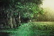 Đây là nước các doanh nghiệp Việt muốn đổ tiền đầu tư nhiều nhất