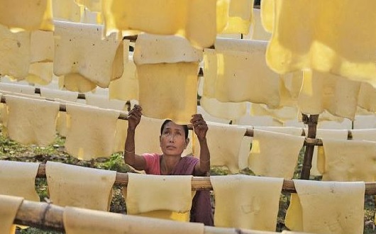 Giá dầu thô tăng có thể kéo giá cao su tự nhiên tăng theo 