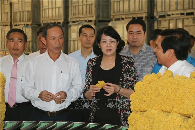 Phó Chủ tịch nước: Ngành cao su cần nắm bắt tiến bộ CMCN lần thứ 4