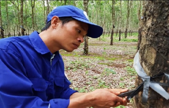 Nguyễn Văn Quý – Người thợ trẻ giỏi toàn quốc