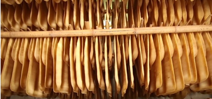 Thái Lan nỗ lực cứu giá cao su 