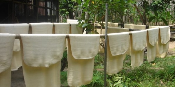 Giá cao su giảm khi nhà giao dịch Trung Quốc rời thị trường 