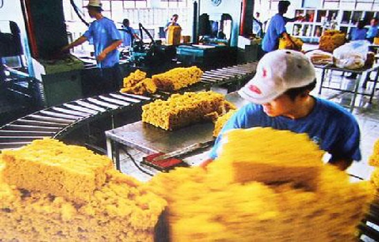 Giá cao su xuất khẩu lao dốc 