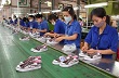 Xuất khẩu năm 2013, tăng trưởng và thách thức 