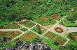 Công ty Cổ phần Du lịch Cao Su Hàm Rồng: Kết hợp văn hoá truyền thống, nhân tố con người để vươn lên phát triển bền vững 