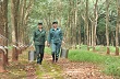 Đảm bảo hiệu quả bền vững