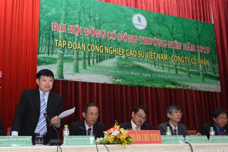 Cổ đông đặc biệt quan tâm đến chiến lược phát triển của VRG