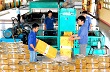 Tái cơ cấu ngành cao su: Vấn đề cần thiết hiện nay