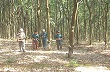 Ea Wy quyết tâm về đích trước thời hạn