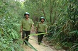 Bình Dương: Tăng cường các biện pháp phòng chống cháy cho hàng trăm nghìn ha cao su