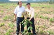Cty Cao su Krông Buk – Katanakiri trồng mới 1.700ha cao su tại Campuchia