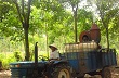 Tham gia đề xuất đề tài, dự án KHCN phục vụ xây dựng nông thôn mới