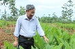 Linh hoạt mở miệng cạo, đảm bảo hiệu quả kinh tế kỹ thuật
