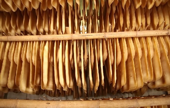 Sản lượng cao su năm 2019 dự báo giảm mạnh 