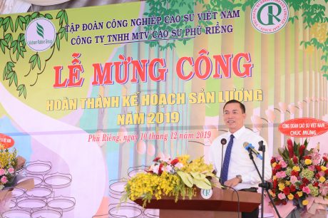 Năng suất vườn cây Cao su Phú Riềng đạt 2,26 tấn/ha