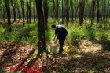 Nữ công nhân “ba đảm đang”