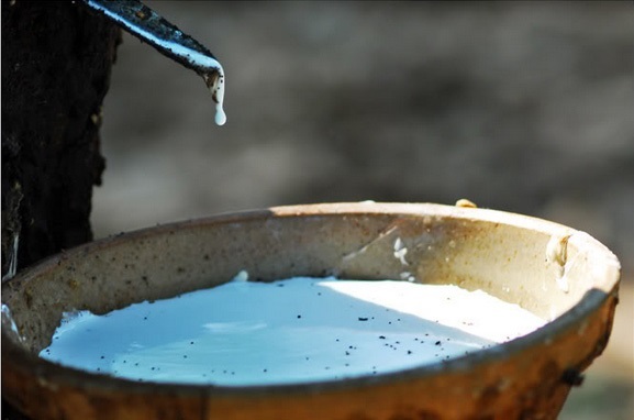 Mạch nguồn &apos;vàng trắng&apos; vùng Tây Bắc giúp người dân thoát nghèo 