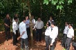 Mở miệng cạo Cao su Lai Châu trong tháng 6