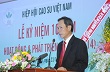 Cao su Việt Nam: Mở rộng thị trường, phát triển bền vững