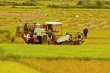 Ngành nông nghiệp tham gia TPP: Mừng to, lo nhiều