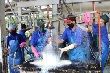Cần quy chuẩn quốc gia quản lý chất lượng mủ nguyên liệu