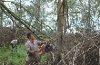 Cao su Mang Yang khắc phục hậu quả lốc xoáy