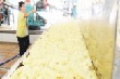 Nâng cao giá trị ngành công nghiệp chế biến cao su 