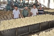 “Cần năng động, sáng tạo, thực hiện tái cơ cấu nông nghiệp hiệu quả”