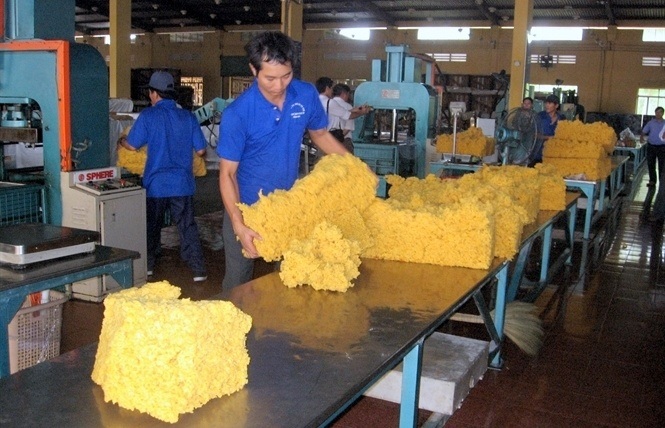 Nghịch lý của cao su nguyên liệu Việt