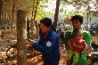Nhộn nhịp đầu mùa cạo