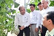 Ngành nông nghiệp sẽ chuyển mình mạnh mẽ năm 2017