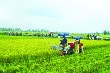 Nông nghiệp tăng trưởng âm: Nhiều nỗi lo