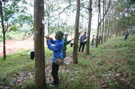 Nơi đất khó “vượt mốc” kế hoạch