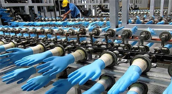 Nhà sản xuất găng tay cao su lớn nhất thế giới mở nhà máy tại Việt Nam