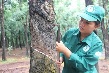 Nguyễn Thị Hồng Đào hoàn thành kế hoạch sớm nhất NT Đồng Nơ
