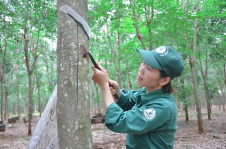 “Học Bác từ những điều bình dị, gần gũi với đời sống hàng ngày”