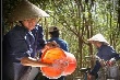 Thưởng thi đua nước rút cao nhất 20 triệu đồng/đơn vị